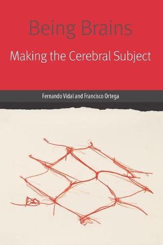 Being Brains – Making the Cerebral Subject Vidal Ortega Paperback 9780823283682