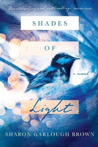 Shades of Light – A Novel Brown Paperback SPCK – IVP US 9780830846580