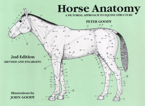 Horse Anatomy – A Pictorial Approach to Equine Structure Goody Paperback