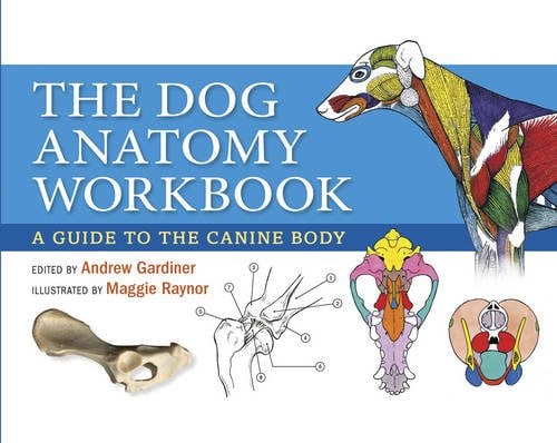 Dog Anatomy Workbook – A Guide to the Canine Body Gardiner Raynor Paperback