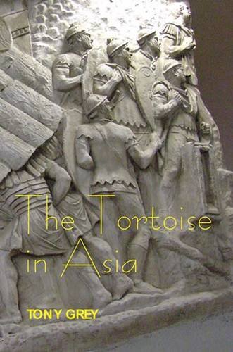 The Tortoise in Asia Grey Hardback John Wiley & Sons 9780861967254