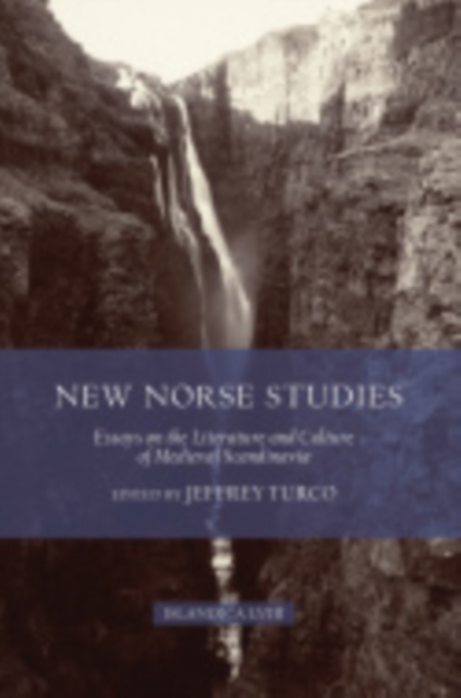 New Norse Studies – Essays on the Literature and Culture of Medieval Scandinavi…