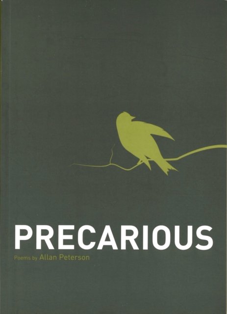 Precarious Peterson Paperback John Wiley & Sons 9780983074748