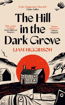The Hill in the Dark Grove bookcover