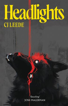 Headlights bookcover