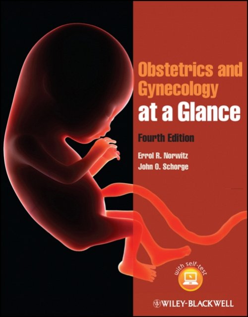 Obstetrics and Gynecology at a Glance 4e Norwitz Paperback Wiley–Blackwell