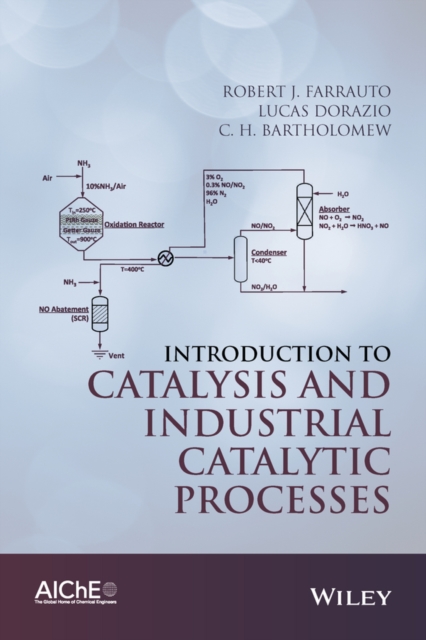 Introduction to Catalysis and Industrial Catalytic Processes Farrauto Hardback