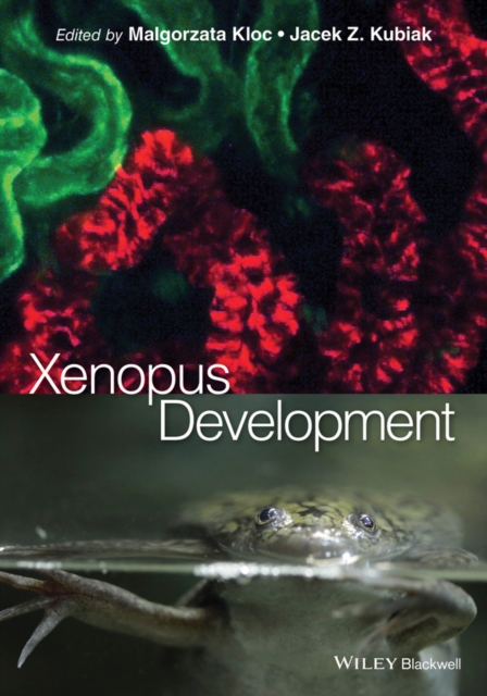 Xenopus Development Kloc Hardback Wiley–Blackwell 9781118492819