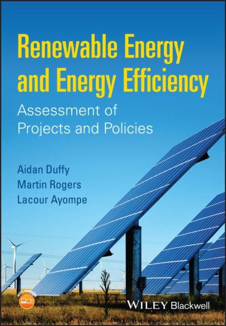 Renewable Energy and Energy Efficiency – Assessment of Projects and Policies