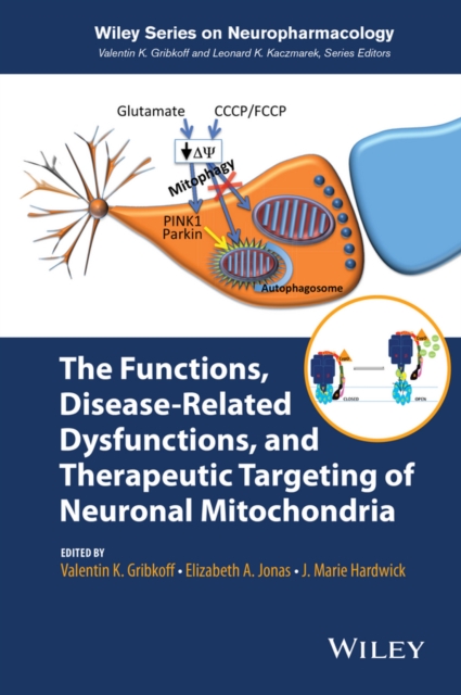 The Functions, Disease–Related Dysfunctions, and Therapeutic Targeting of Neuro…