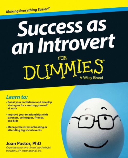 Success as an Introvert For Dummies Pastor Paperback John Wiley & Sons