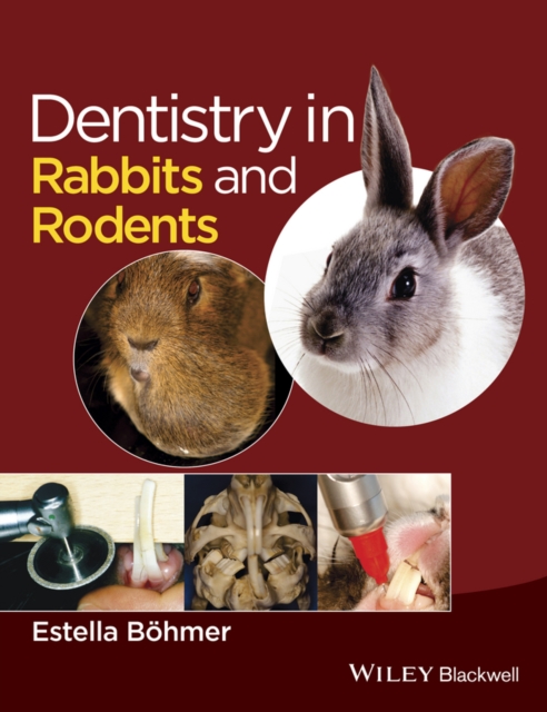 Dentistry in Rabbits and Rodents Boehmer Hardback Wiley–Blackwell 9781118802540