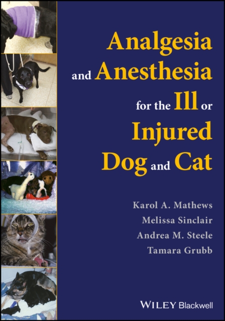 Analgesia and Anesthesia for the Ill or Injured Dog and Cat Mathews Paperback