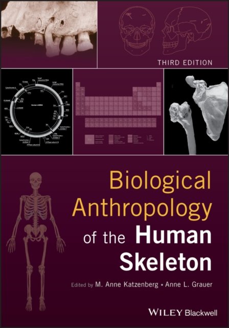 Biological Anthropology of the Human Skeleton, Third Edition Katzenberg Hardback