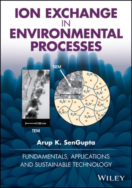 Ion Exchange in Environmental Processes – Fundamentals, Applications and Sustai…