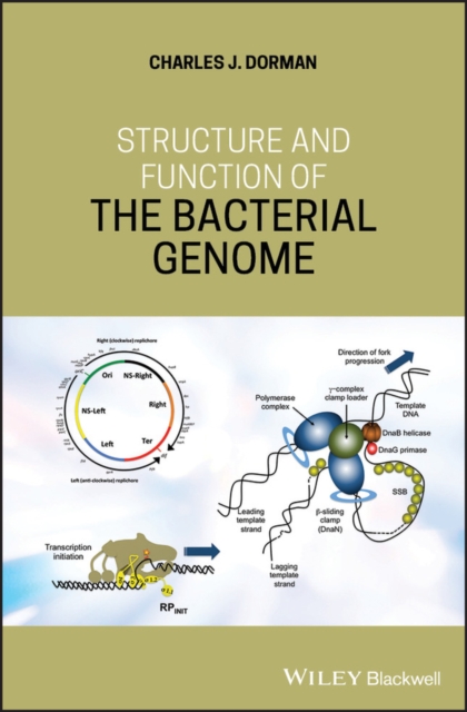 Structure and Function of the Bacterial Genome Dorman Hardback Wiley–Blackwell