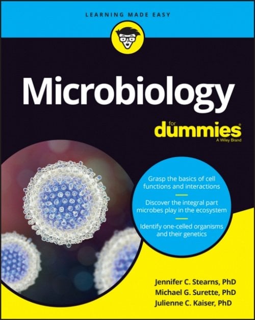 Microbiology For Dummies Stearns Paperback John Wiley & Sons 9781119544425