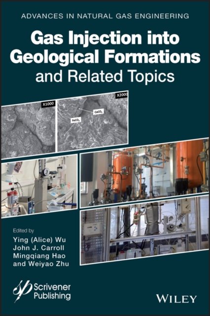 Gas Injection into Geological Formations and Related Topics Wu Hardback