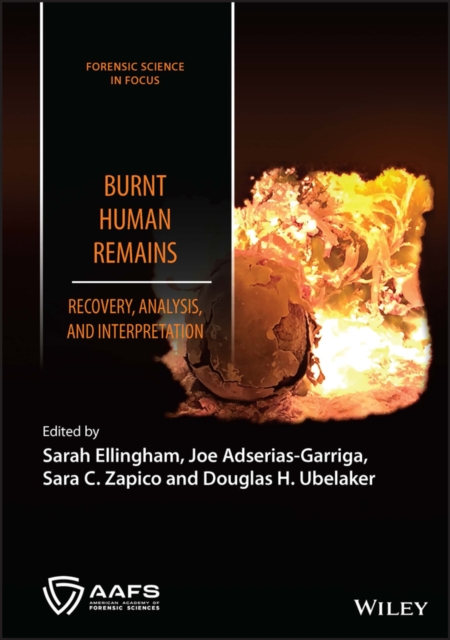 Burnt Human Remains: Recovery, Analysis, and Interpretation Ellingham Hardback