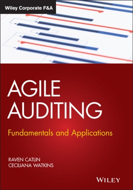 Agile Auditing – Fundamentals and Applications Catlin Hardback John Wiley & Sons