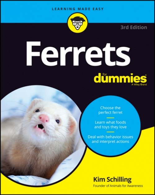 Ferrets For Dummies, 3rd Edition Schilling Paperback John Wiley & Sons