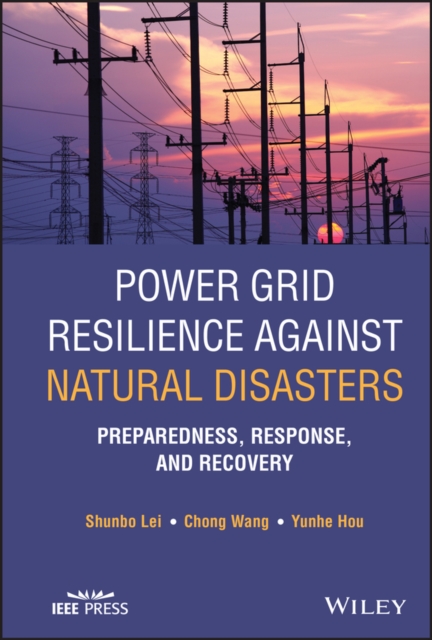 Power Grid Resilience against Natural Disasters – Preparedness, Response, and R…