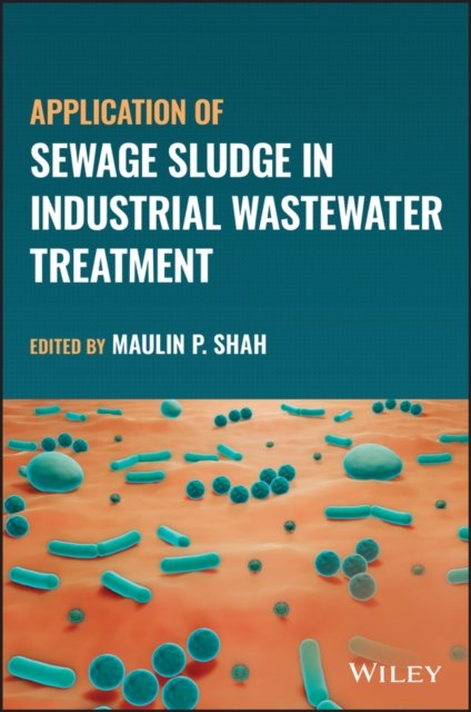 Application of Sewage Sludge in Industrial Wastewa ter Treatment Shah Hardback