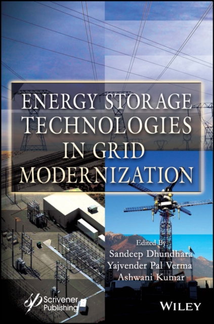 Energy Storage Technologies in Grid Modernization Dhundhara Hardback