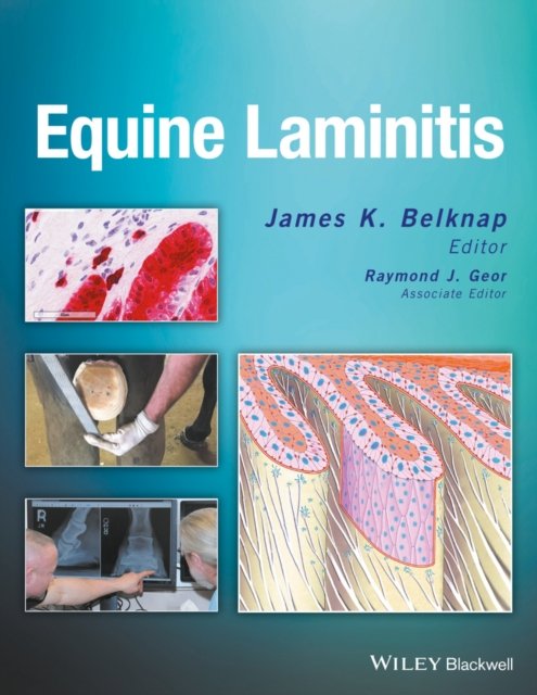 Equine Laminitis Belknap Hardback Wiley–Blackwell 9781119944713