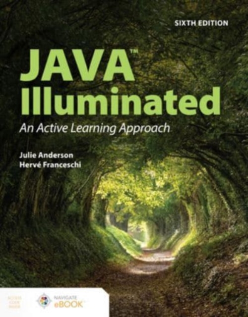 Java Illuminated Anderson Franceschi Paperback John Wiley & Sons 9781284250480