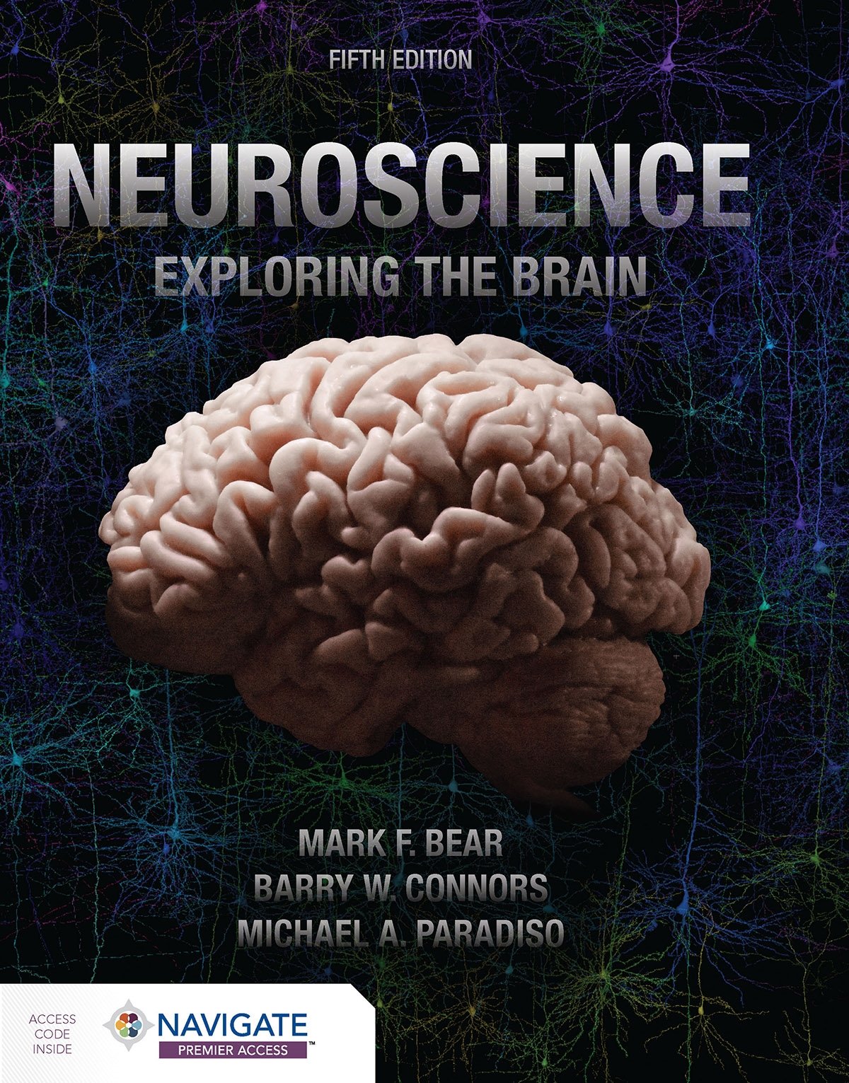 Neuroscience: Exploring the Brain Bear Connors Paradiso Paperback 9781284286878