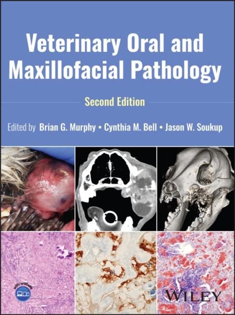 Veterinary Oral and Maxillofacial Pathology, Secon d Edition Murphy Hardback