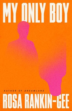 My Only Boy bookcover
