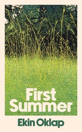 First Summer bookcover