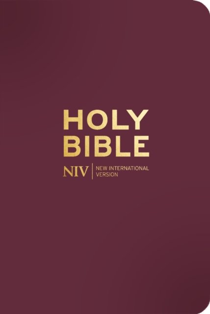 NIV Pocket Mulberry Bible with Gold Zip