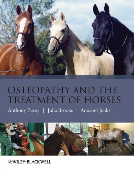 Osteopathy and the Treatment of Horses Pusey Paperback Wiley–Blackwell