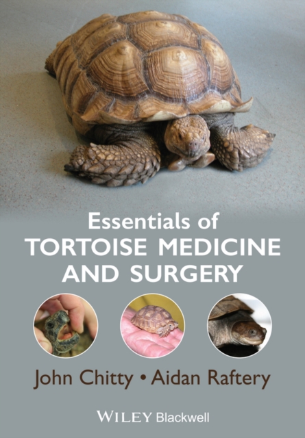 Essentials of Tortoise Medicine and Surgery Chitty Paperback Wiley–Blackwell