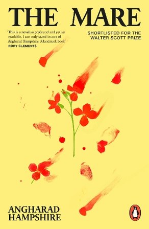 The Mare bookcover