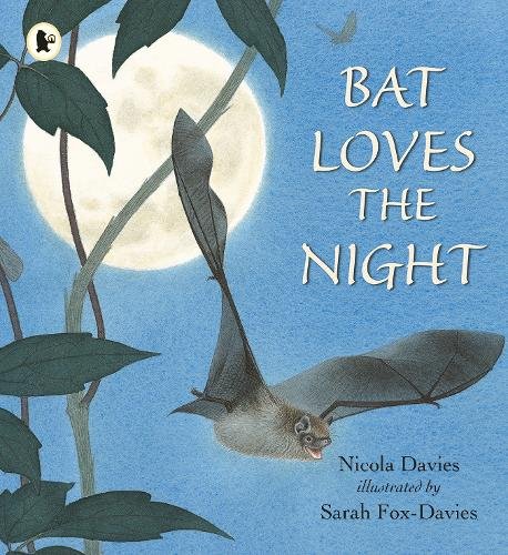 Front cover of Bat Loves the Night by Nicola Davies, illustrated by Sarah Fox-Davies