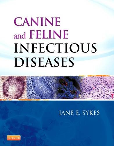 Canine and Feline Infectious Diseases Sykes Hardback 9781437707953