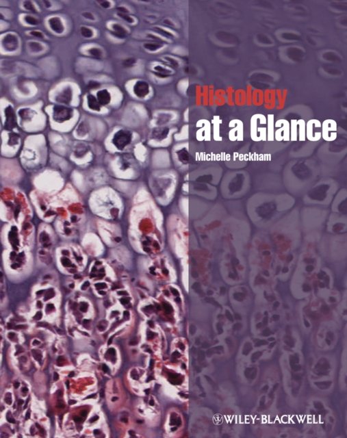 Histology at a Glance Peckham Paperback Wiley–Blackwell 9781444333329