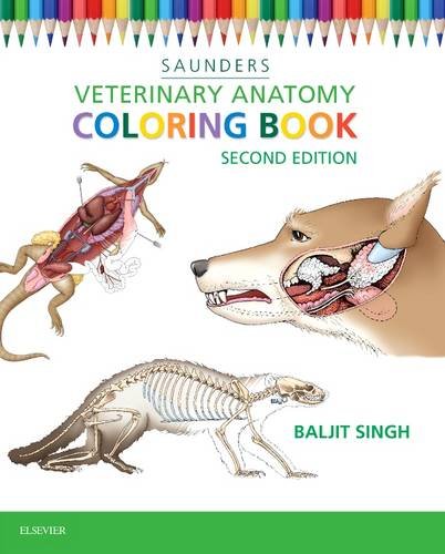 Veterinary Anatomy Coloring Book Singh Paperback 9781455776849 2e