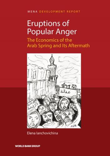 Eruptions of Popular Anger – The Economics of the Arab Spring and Its Aftermath