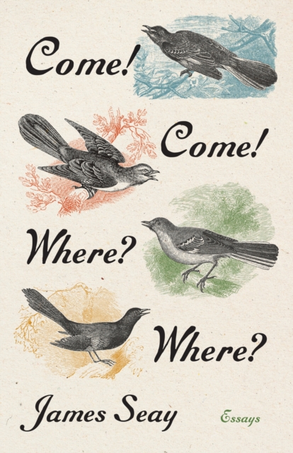 Come! Come! Where? Where? – Essays Seay Hardback MP–NCA Uni of North Carolina