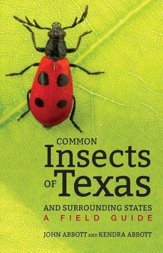 Common Insects of Texas and Surrounding States – A Field Guide Abbott Abbott