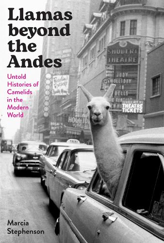 Llamas beyond the Andes – Untold Histories of Camelids in the Modern World