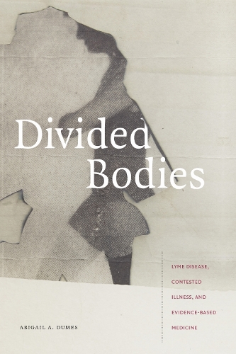 Divided Bodies – Lyme Disease, Contested Illness, and Evidence–Based Medicine