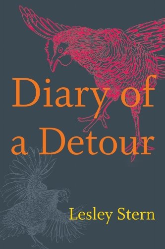 Diary of a Detour Stern Paperback John Wiley & Sons 9781478009672
