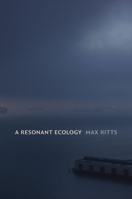 A Resonant Ecology Ritts Hardback John Wiley & Sons 9781478026648