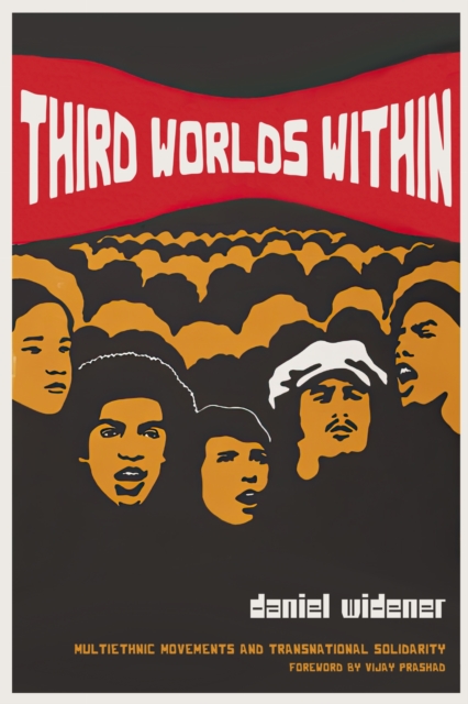 Third Worlds Within – Multiethnic Movements and Transnational Solidarity Widener